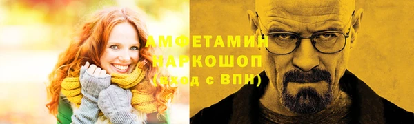 мет Алексин