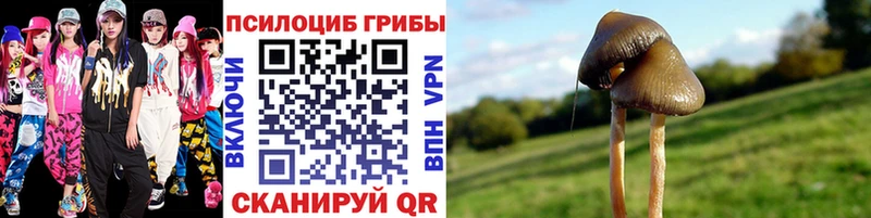 Псилоцибиновые грибы мухоморы купить Перевоз