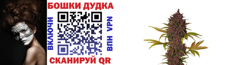 Канабис план Перевоз